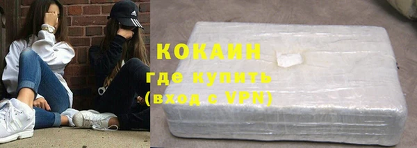 гашик Арсеньев