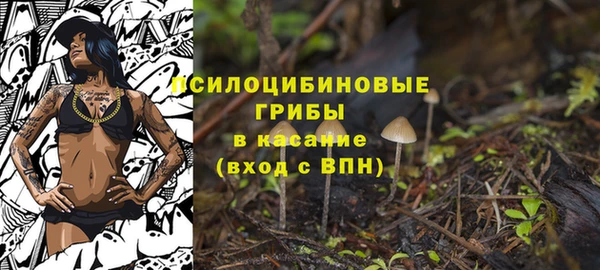 дмт Балахна