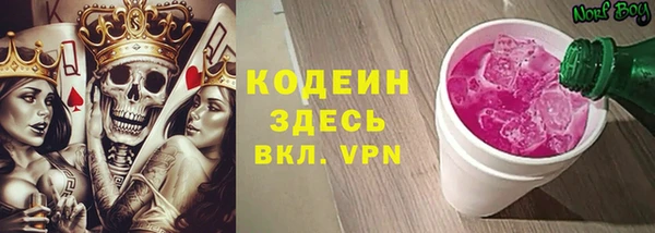 гашик Арсеньев