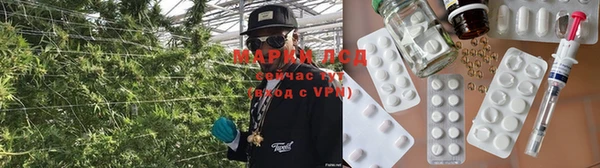 гашик Арсеньев