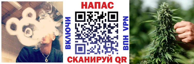 Бошки Шишки VHQ  Онега 
